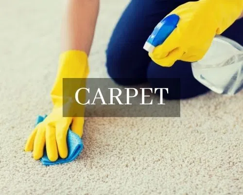 Home Cleaning Services